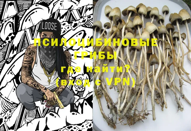 Галлюциногенные грибы MAGIC MUSHROOMS  как найти   Кировград 